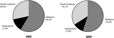 Comparison of Carrier and de novo Pathogenic Variants in a Chinese DMD/BMD Cohort